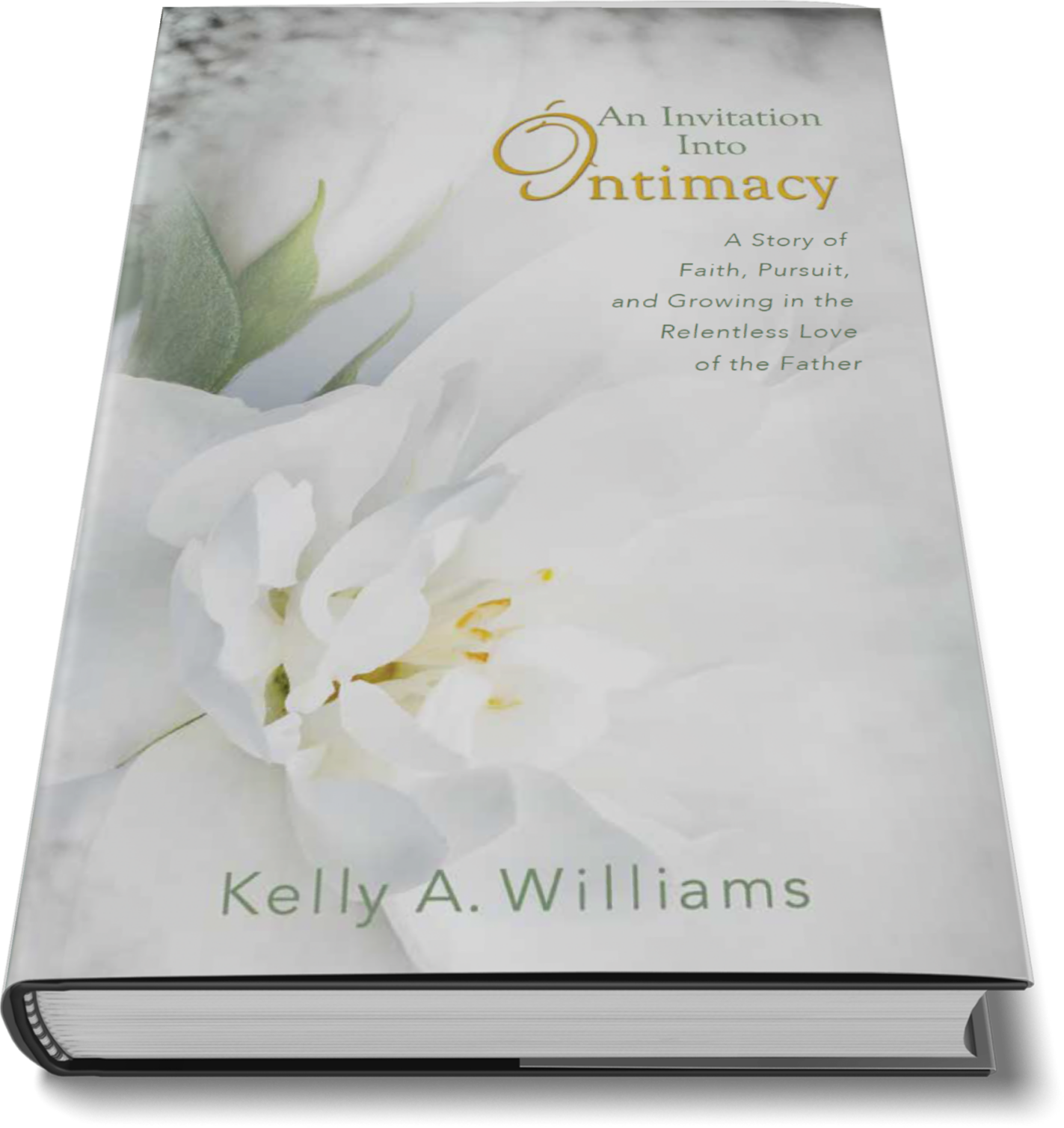 Book 3 - An Invitation Into Intimacy